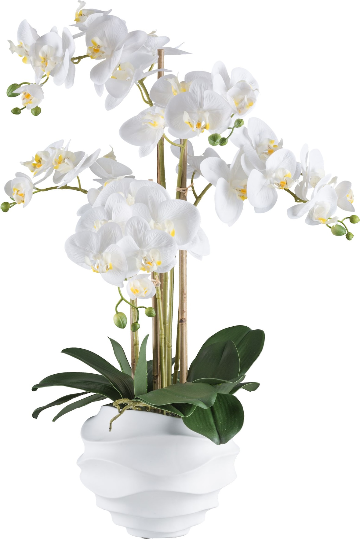 CREATIV green künstliche Pflanze Phalaenopsis, 70cm, "Real Touch"