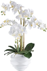 thumbnail of CREATIV green künstliche Pflanze Phalaenopsis, 70cm, "Real Touch"