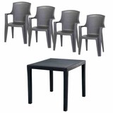 thumbnail of PROGARDEN Eden+King SET 5tlg. ant.