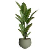 thumbnail of WellHome - Blumentopf "Sapphire Collection", Ø35cm, Farbe grün