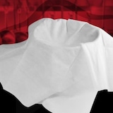 thumbnail of FMPROF 5 Einweg-Passiertücher 75x75cm Vl
