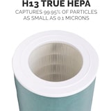 thumbnail of Fellowes AeraMax SE Combo True HEPA/Carbon H13 Luftfilter für große Raumluftreiniger, 33 x 25,4 cm 1 Jahr Filter – 9787801