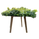 thumbnail of GecoWall "KAIRO" |Muro di felci giungla premium | Rivestimento murale gastronomia | Montaggio a parete piante artificiali |Pannelli foresta pluviale