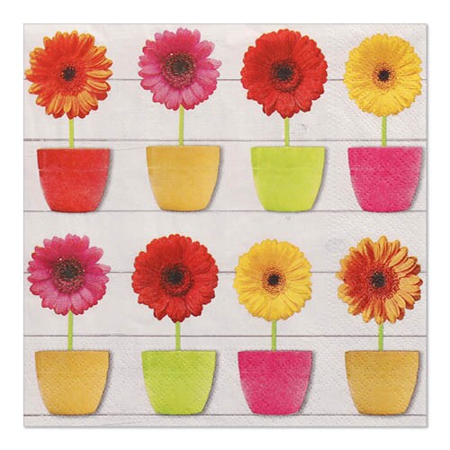 20 Serviettes, 3 plis pliage 1/4 33 cm x 33 cm "Glowing Gerberas"