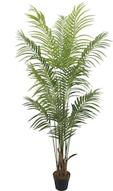 thumbnail of Bonerva | Palmera Deco 180 cm Altura | Planta artificial para decorar interiores: hogares, negocios y hoteles | Sin mantenimiento