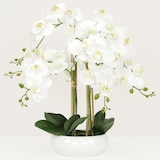 thumbnail of LIGNE DÉCO Orchidées artificielles blanche 55cm