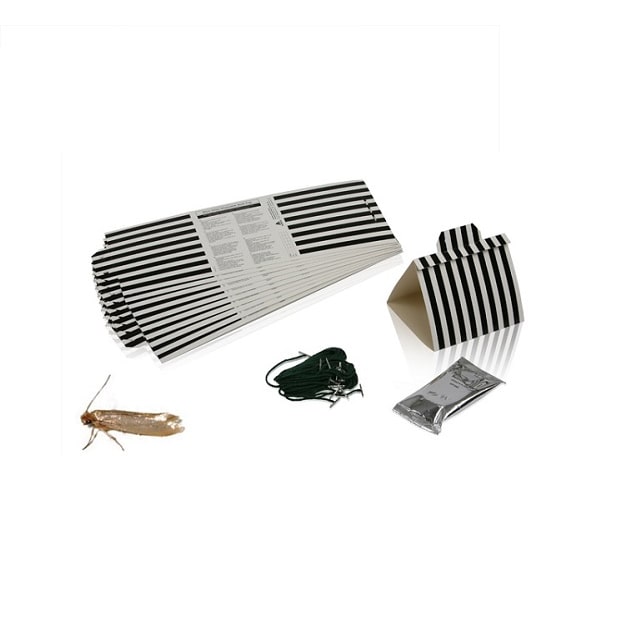 Armadilha Cola tipo Delta para Traça da Roupa - Pack 10 unidades