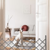 thumbnail of Relaxdays Rankgitter Holz, ausziehbar bis 185 cm, Rankhilfe Kletterpflanzen, Scherengitter freistehend, Garten, grau