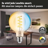 thumbnail of Paulmann Filament 230 V Smart Home Zigbee 3.0 Globe LED G95 E27600lm 7,5W Tunable White gradable Doré 29159