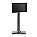 thumbnail of TECHFIVE - Afficheur client 5,5'' USB