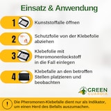 thumbnail of Wollkrautblütenkäfer Falle mit Pheromon-Lockstoff: 1