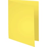 thumbnail of Exacompta 410000E 5x 100er Packung Aktendeckeln aus Recycling Karton 220g Forever, 24x32cm - Farben sortiert