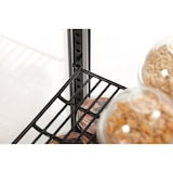 thumbnail of Vitrina refrigerada Bartscher 98L negra 700398G