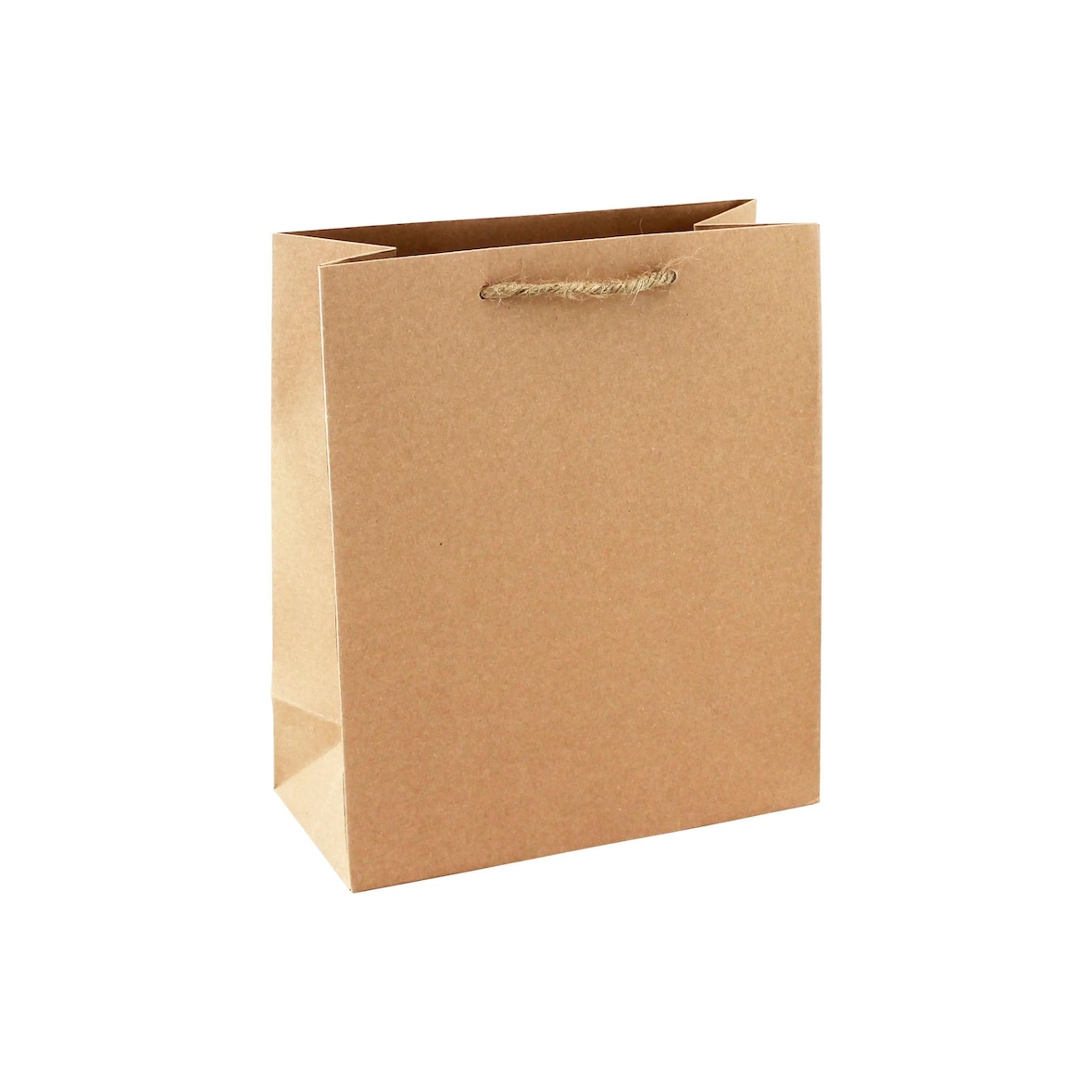 Clairefontaine 6x Tasche aus Kraftpapier, 21,5x10,2x25,3 cm - Kartonbraun 28800-3C