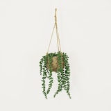 thumbnail of LIGNE DÉCO Succulente artificielle suspension 60cm