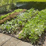 thumbnail of GARDENA MDS Start-Set für Pflanzflächen Micro-Drip-System MDS Start-Set Pflanzflächen