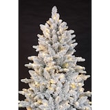 thumbnail of Tarrington House Albero di Natale a LED, acciaio / PVC / PE, Ø 120 x 213 cm, 400 lampadine LED a luce bianca calda