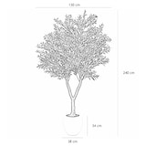 thumbnail of LIGNE DECO Olivier artificiel pot blanc 240cm