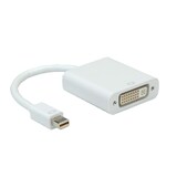 thumbnail of ROLINE Mini DisplayPort-DVI Adapter, Mini DP M - DVI F