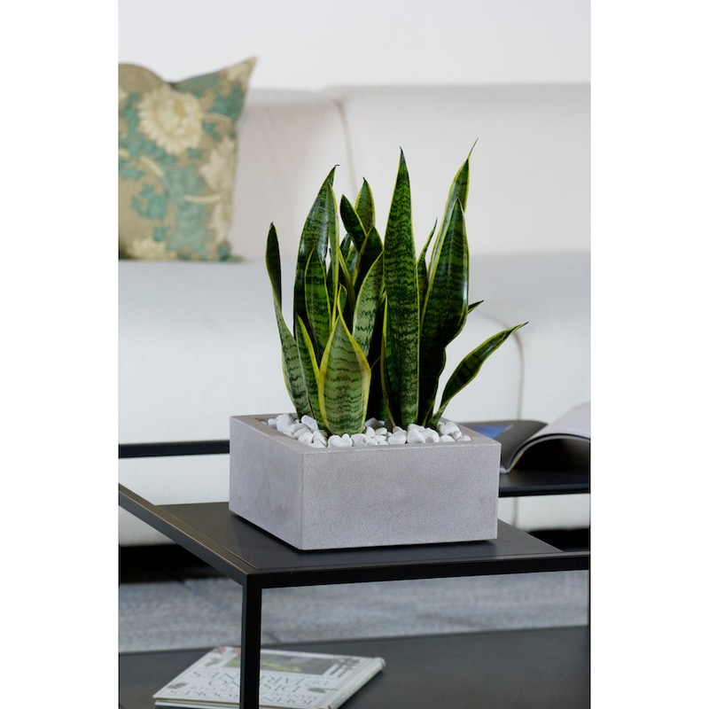KADAX Fioriera 18,5 x 56 cm, motivo rattan, bianco, con inserto