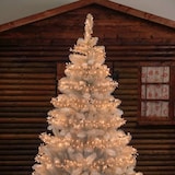 thumbnail of Guirlande lumineuse 15m BOA D6cm 720 LED ambré 8 programmes câble transparent Lotti