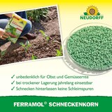 thumbnail of Neudorff Ferramol Schneckenkorn 1 kg
