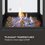 thumbnail of Flagranti Gasheizstrahler 8kW Gasflasche bis 11kg Edelstahl Schwarz