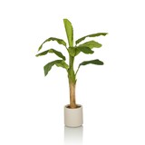 thumbnail of Kunstpflanze / Kunstbaum BANANE I 150 cm grün hjh OFFICE