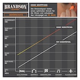 thumbnail of Brandson Ohrstöpsel für Gehörschutz - Schaumstoff Ohrstöpsel - 140 Stück XXL Packung - superweiche Stöpsel - hohe Dämpfung 34 db SNR