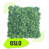 thumbnail of OLSO | Bosque verde de pared de musgo premium | Catering montaje en pared de musgo artificial | Práctica de patio de pared de planta colgante de pared