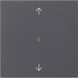 thumbnail of Gira Wippe 1-fach 538828