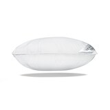 thumbnail of HS6 Kopfkissen 70 % Daunen - 30 % Federn Daunenkissen Kissen 80x80 cm 2000 g