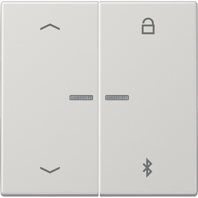 Jung Universal Timer LS 1751 PBT LG LS1751PBTLG