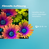 thumbnail of Toshiba 43LV3F63DA Fernseher 43 Zoll Smart TV VIDAA Full HD HDR TV mit Triple-Tuner, LED TV (2026)