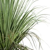 thumbnail of CREATIV green künstliche Pflanze Beaucarnea, 68cm