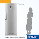 thumbnail of Exquisit Gefrierschrank GS380-NF-H-050E inoxlook | 380 l Nutzinhalt | Edelstahloptik