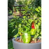 thumbnail of Scheurich Bördy XL, Wasserspeicher aus Kunststoff,  Farbe: Bördy XL, Green Pearl, 8,32 cm Breite, 4,66 cm Tiefe, 29 cm hoch, 0,6 l Vol.