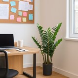 thumbnail of Bonerva | Zamioculca Deco 90 cm Altura | Planta artificial para decorar interiores: hogares, negocios y hoteles | Sin mantenimiento