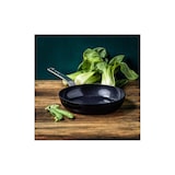 thumbnail of GreenPan Evolution Bratpfanne 24 cm schwarz Spülmaschinenfest Keramik