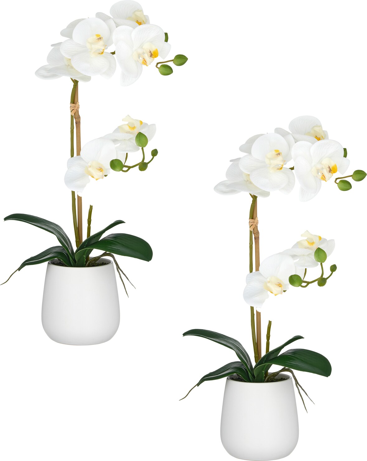 CREATIV green künstliche Pflanze Orchidee im Keramiktopf, 50cm, weiß, Real Touch, im 2er Set