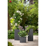 thumbnail of Scheurich Muretto 30, bac à plantes/pot à fleurs, carré, coloris: Stony Black, fabriqué avec du plastique recyclé, pour l’extérieur