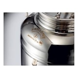 thumbnail of Sansone il gioiello, contenitore bidone olio da 3 litri in acciaio 18/10 con rubinetto e stand