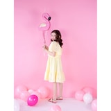 thumbnail of Flamingo Pinata