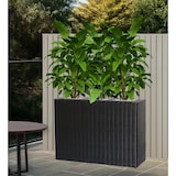 thumbnail of METRO PROFESSIONAL Blumentopf/Raumtrenner mit 3 Pflanzeinsätze Barbados, Polyrattan, schwarz