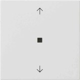 thumbnail of System 55 Tastwippe, Bussystem KNX, Bussystem KNX-Funk, 1f, reinweiß, glänzend, Kunststoff, Thermoplast
