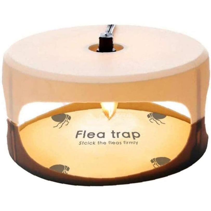 Remi Hogar Trampa Adhesiva para polillas, pulgas, Moscas, Mosquitos, arañas pequeñas y Otros Insectos por Calor | para Interior y Exterior