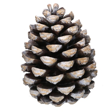 Vacchetti Pigna in resina marrone cm27,5x27,5h35,5