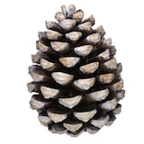thumbnail of Vacchetti Pigna in resina marrone cm27,5x27,5h35,5