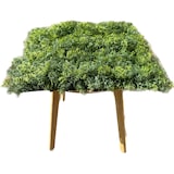 thumbnail of OLSO | Bosque verde de pared de musgo premium | Catering montaje en pared de musgo artificial | Práctica de patio de pared de planta colgante de pared