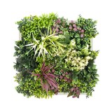 thumbnail of CUADRO VEGETAL ARTIFICIAL Naturing Monde ALLEGRA - 50 x 50 cm